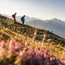 Zwei Wanderer auf einem Bergpfad mit Alpenpanorama im Hintergrund
